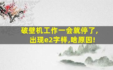 破壁机工作一会就停了,出现e2字样,啥原因!