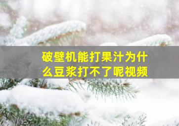 破壁机能打果汁为什么豆浆打不了呢视频