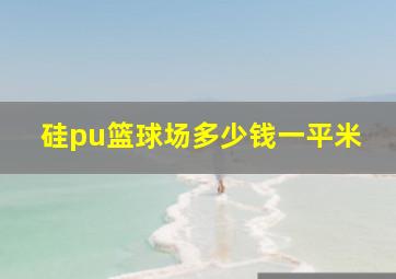 硅pu篮球场多少钱一平米