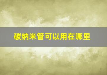 碳纳米管可以用在哪里