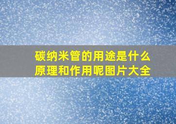 碳纳米管的用途是什么原理和作用呢图片大全