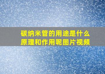 碳纳米管的用途是什么原理和作用呢图片视频