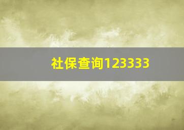 社保查询123333