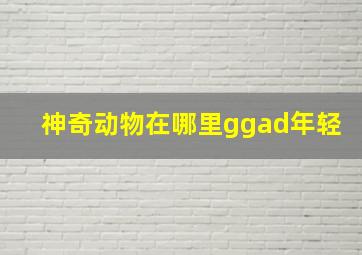 神奇动物在哪里ggad年轻