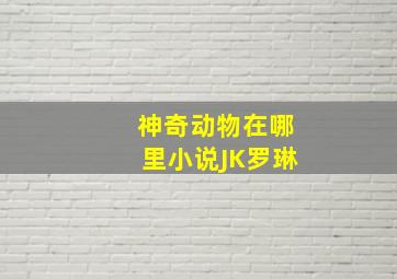 神奇动物在哪里小说JK罗琳