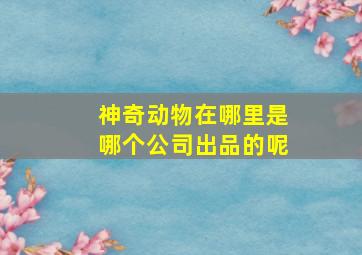 神奇动物在哪里是哪个公司出品的呢