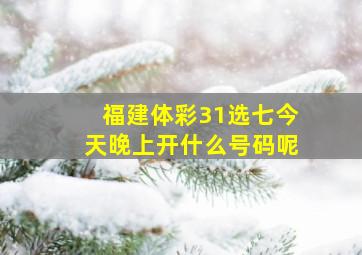 福建体彩31选七今天晚上开什么号码呢