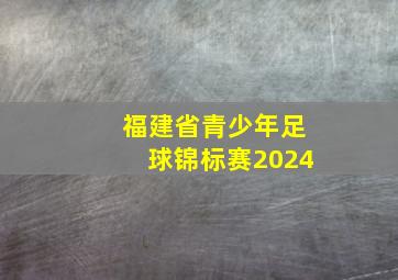 福建省青少年足球锦标赛2024