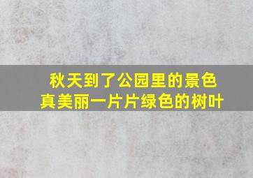 秋天到了公园里的景色真美丽一片片绿色的树叶