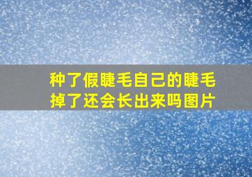 种了假睫毛自己的睫毛掉了还会长出来吗图片