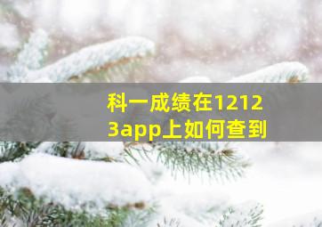 科一成绩在12123app上如何查到