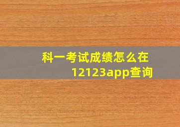 科一考试成绩怎么在12123app查询