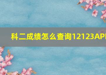 科二成绩怎么查询12123APP