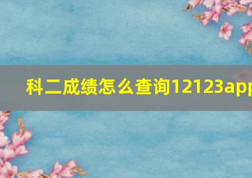 科二成绩怎么查询12123app