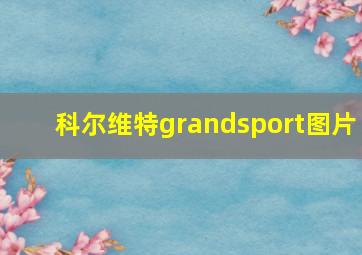 科尔维特grandsport图片