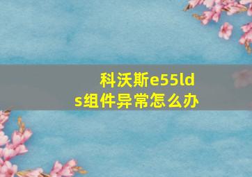 科沃斯e55lds组件异常怎么办