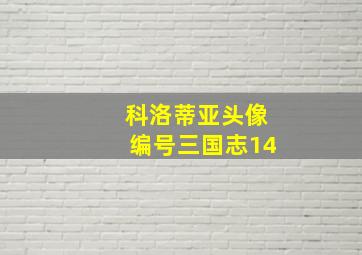 科洛蒂亚头像编号三国志14