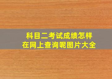 科目二考试成绩怎样在网上查询呢图片大全