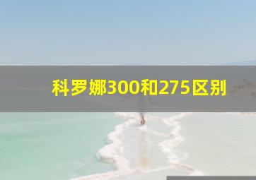 科罗娜300和275区别