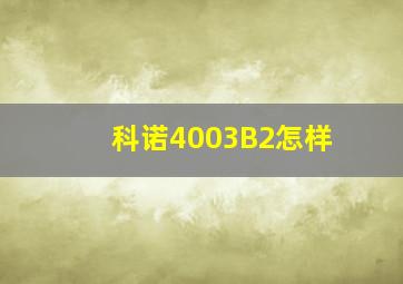 科诺4003B2怎样