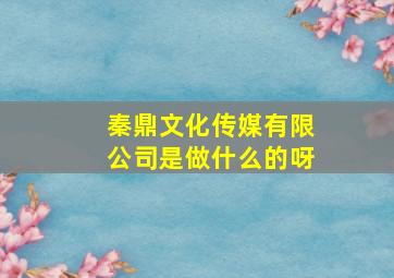 秦鼎文化传媒有限公司是做什么的呀