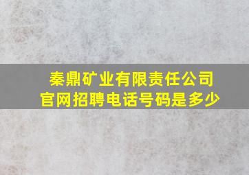 秦鼎矿业有限责任公司官网招聘电话号码是多少