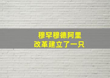 穆罕穆德阿里改革建立了一只