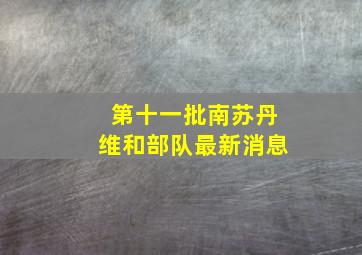 第十一批南苏丹维和部队最新消息