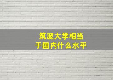 筑波大学相当于国内什么水平