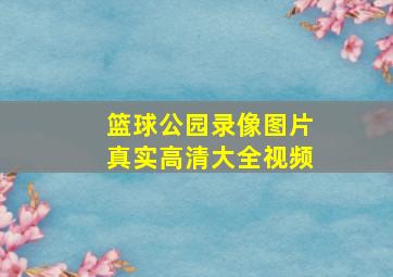 篮球公园录像图片真实高清大全视频