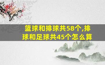 篮球和排球共58个,排球和足球共45个怎么算