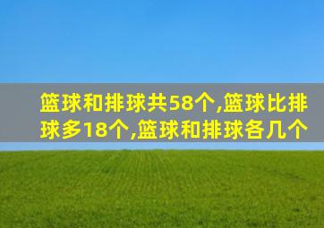 篮球和排球共58个,篮球比排球多18个,篮球和排球各几个