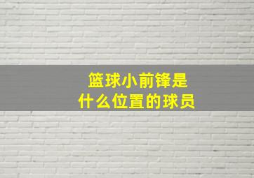 篮球小前锋是什么位置的球员