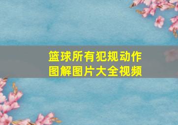 篮球所有犯规动作图解图片大全视频