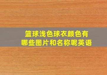 篮球浅色球衣颜色有哪些图片和名称呢英语