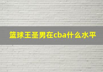 篮球王圣男在cba什么水平