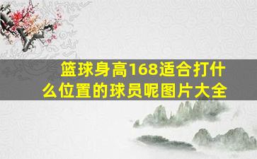 篮球身高168适合打什么位置的球员呢图片大全