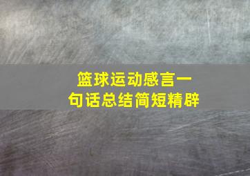 篮球运动感言一句话总结简短精辟