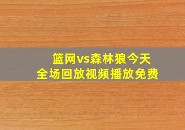 篮网vs森林狼今天全场回放视频播放免费