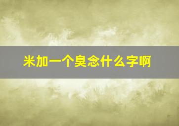 米加一个臭念什么字啊