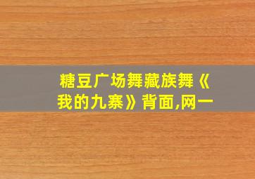 糖豆广场舞藏族舞《我的九寨》背面,网一