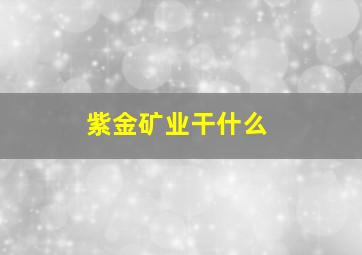 紫金矿业干什么