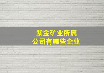 紫金矿业所属公司有哪些企业