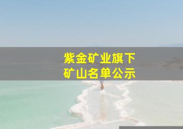 紫金矿业旗下矿山名单公示