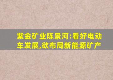 紫金矿业陈景河:看好电动车发展,欲布局新能源矿产