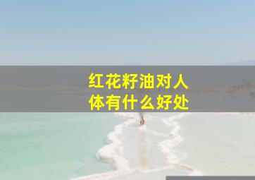 红花籽油对人体有什么好处