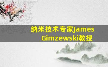 纳米技术专家JamesGimzewski教授