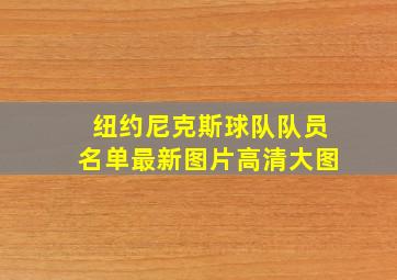 纽约尼克斯球队队员名单最新图片高清大图