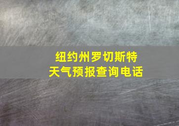 纽约州罗切斯特天气预报查询电话