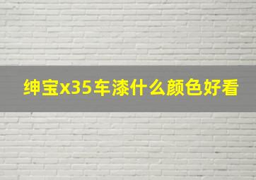 绅宝x35车漆什么颜色好看